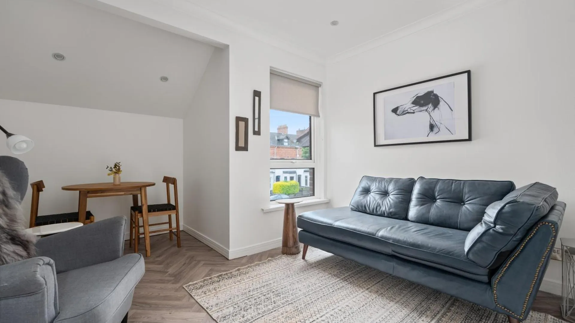 Belmont Apartment 벨파스트